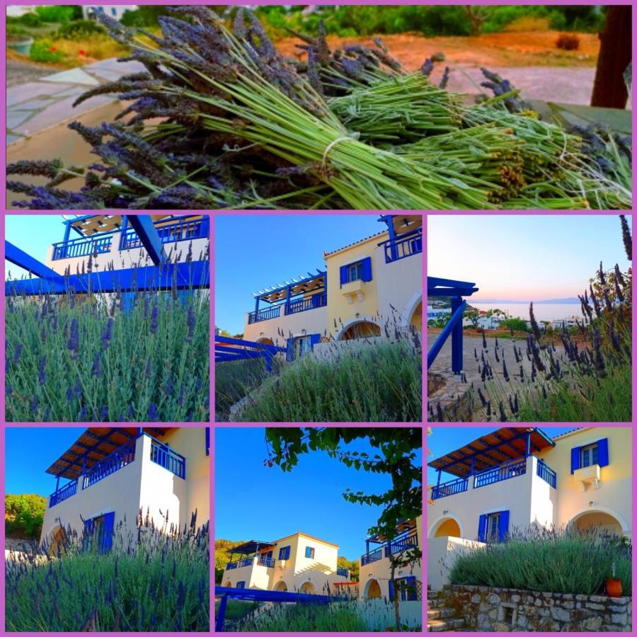 Evangelia House Sea View Apartments Agia Pelagia  المظهر الخارجي الصورة
