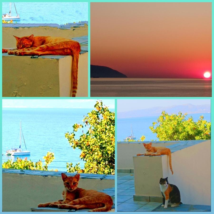 Evangelia House Sea View Apartments Agia Pelagia  المظهر الخارجي الصورة